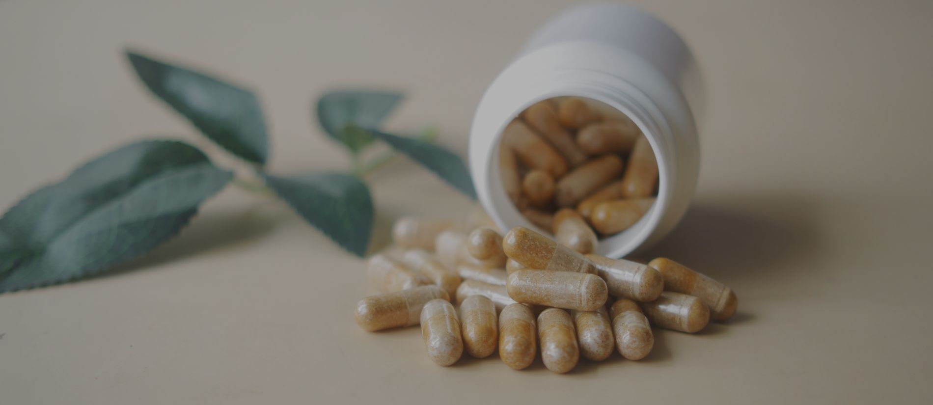 Fenutri Natural Health Supplements