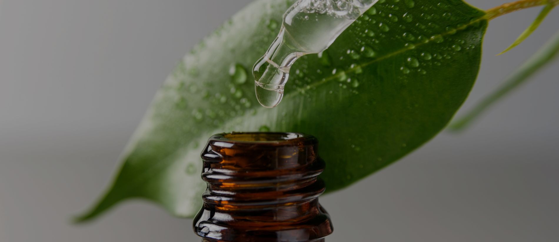 Fenutri Herbal Drops